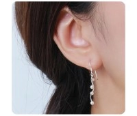 Wonderful Design Silver Earring SPLE-07